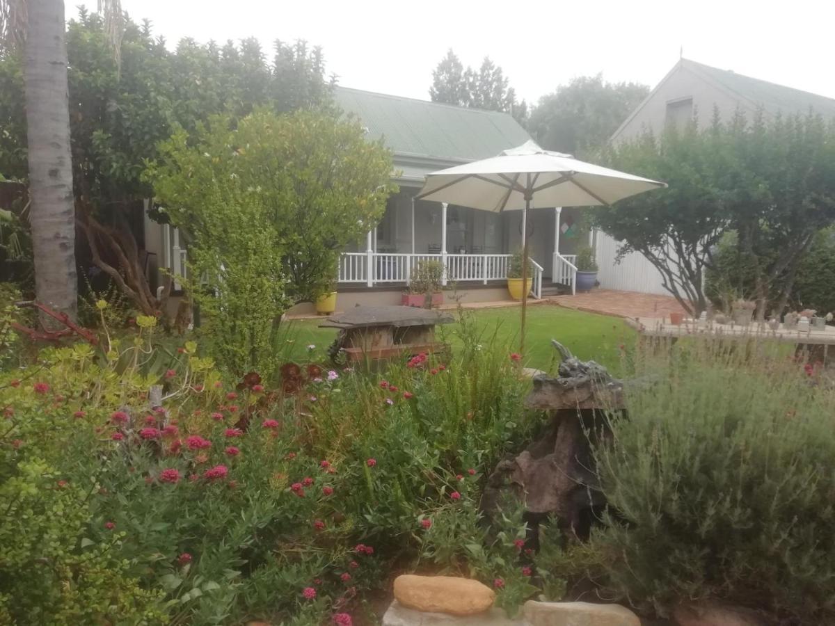 Housemartin Lodge & Self Catering De Rust Luaran gambar